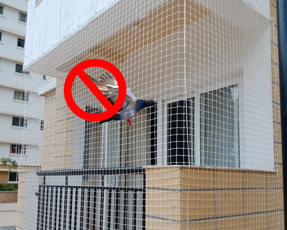 Pigeon Nets Installation for Balconies in Kothurd  Pigeon Protection Nets,  Call 9170350909 for Pigeon Free Solution